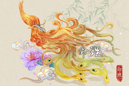 2026日历全年黄道吉日查询|万年历日历2026年|日历表2026日历全年表